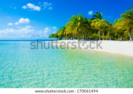 Caribbean Island