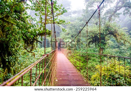 Bridge in Rainforest Costa Rica Monteverde Bridge in Rainforest Costa Rica Monteverde