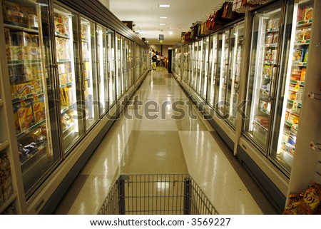 Frozen Food Section