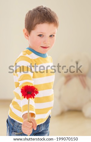 little boy offers to admire the beautiful red flower.