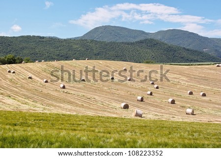 jobs in the country, harvesting hay in the spring