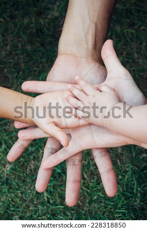 Four hands of the family, a baby, a daughter, a mother and a father. Concept of unity, support, protection and happiness.