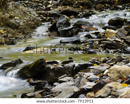 brook in stony streambed
