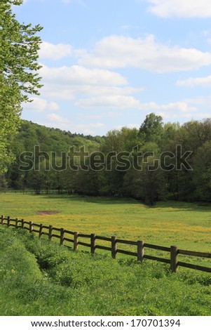 pasture in picturesque valley during springtime