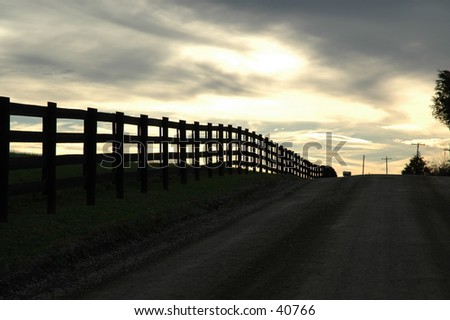 Fence Row