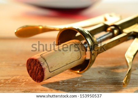 Wine cork freshly drawn with vintage brass corkscrew. Selective focus on cork.