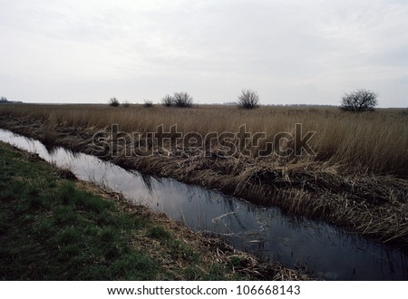A small river floating through a field.