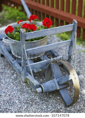 Funny wheelbarrow with flower pot with geranium