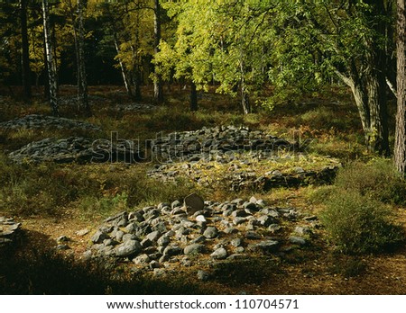 Stone circles in the forest