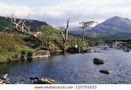 Bare trees by river with mountain background