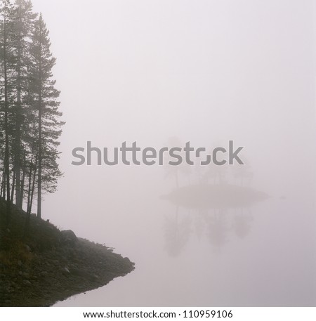 Trees by river in misty weather