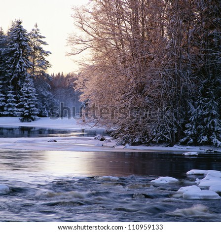 Trees by river and snow-covered land