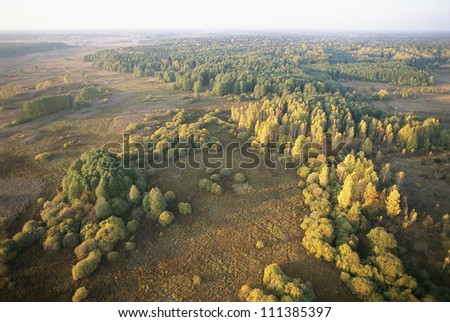 Forest photographed from a plane