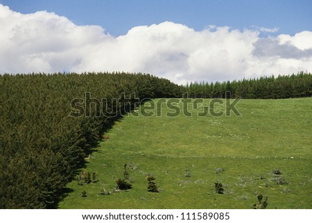 Afforestation, Glen Avon Highland, Scotland, Great Britain