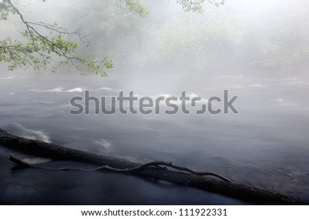 A small river in nature reserve, Vastergotland, Sweden