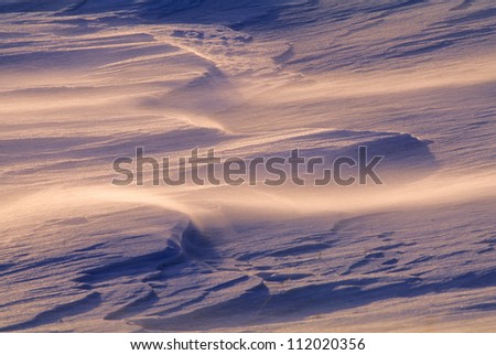 Drifting snow at minus 40 C, Canada