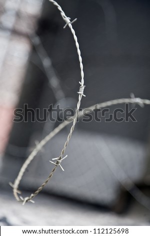 Close-up of wire mesh