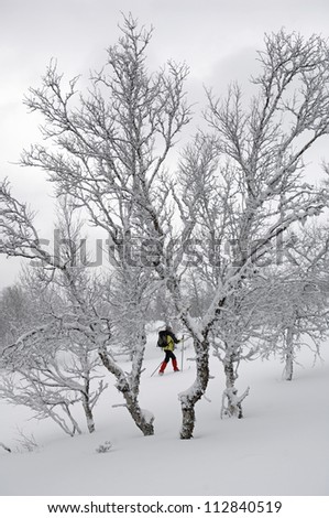Long-distance skiing in snow covered landscape, Sweden.