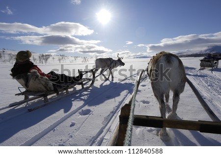 Reindeer sledding ecotourism tour, Sweden.
