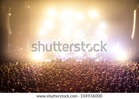 Cheering Crowds in a rock concert