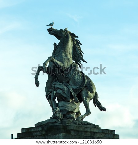 seagull on the head of a horse statue on the Concorde square, Paris, France