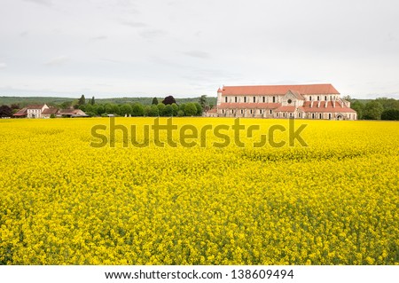 Abbey of Pontigny in the Oilseed rape fields, Burgundy, France