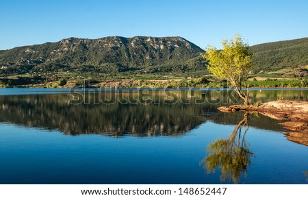 Salagou Lake at sunrise : red land, tree and reflection on water