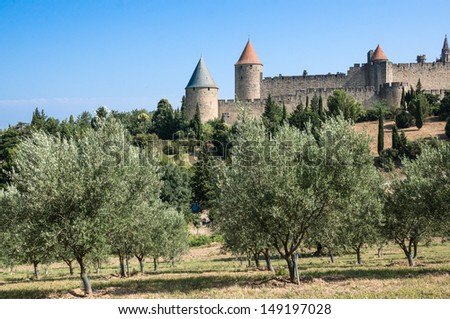 olive tree field with the ancient city towers of Carcassonne on the background, south of France