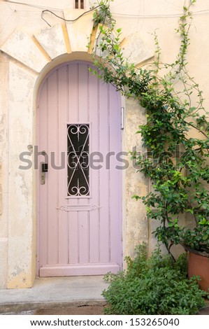 Old Pink wooden door with vines in Arles, France