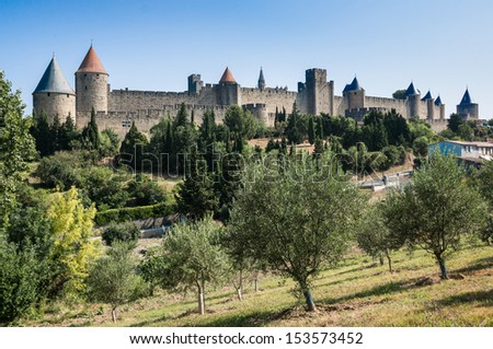 the ancient city of Carcassonne oa olive tree field with on the background, south of France