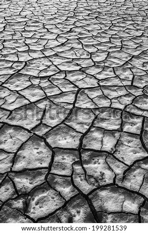 Black and White Texture: Dried Cracked Chaps Land Clay Earth at dawn in Camargue, France
