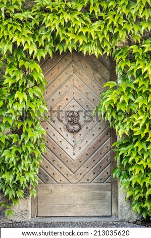 Old Wooden door decorated by Vines, Domremy, Lorraine