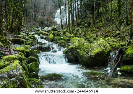 Creek in the forest with stones covered by lichens near the hedgedog Waterfall (Cascade du Herisson) in the Jura Mountains, France
