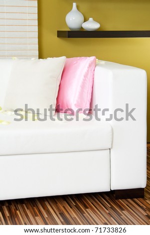 Modern living room detail with pillows and rose petals