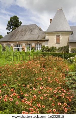 Red flowers growing in a market garden at Cheverny, France