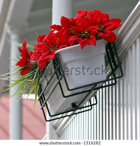 Red flowers on white porch