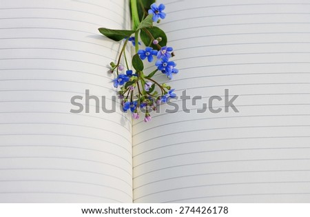 flower forget-me-not empty paper page