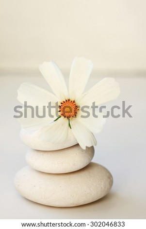 white stones flower peaceful spa background soft focus creamy calm tones beauty relaxing