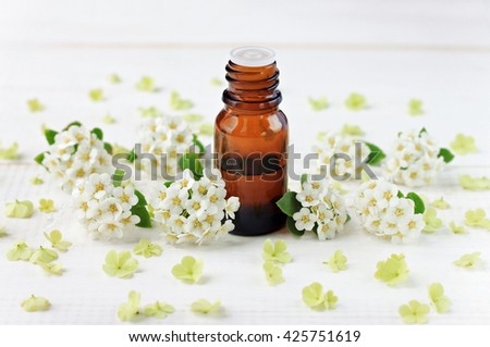 Glass bottle with essential oil, white flower blossom scattered. Herbal wellness.