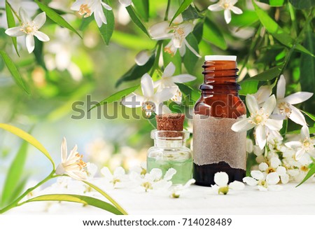 Neroli (bitter orange) blossom perfume. Citrus essential oil bottles, spring flowering tree with white aroma flowers and green freshness. Herbal beauty treatment