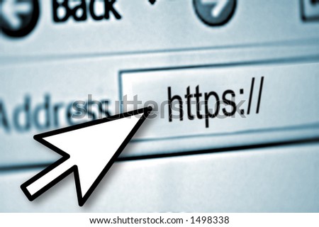 Closeup : Focus on Secured Website with black mouse pointer