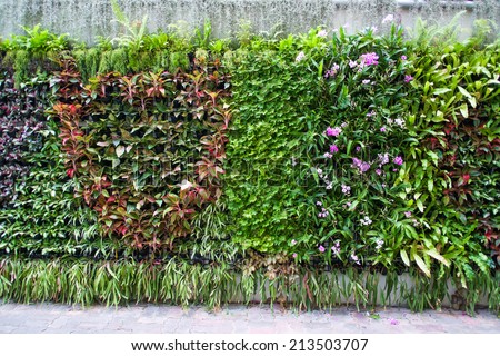 vertical tropical garden with various kind of green plants  and flowers