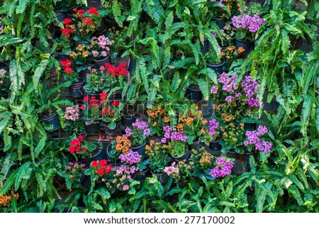 vertical tropical garden with various kind of green plants and flowers