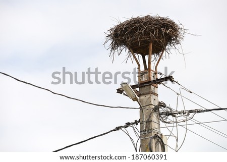 empty nest of storks on a lamppost
