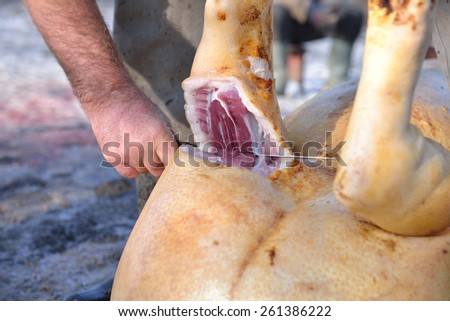 Midsection of male butcher cutting pork leg with knife in a rural area