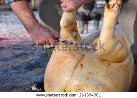 Midsection of male butcher cutting pork leg with knife in a rural area