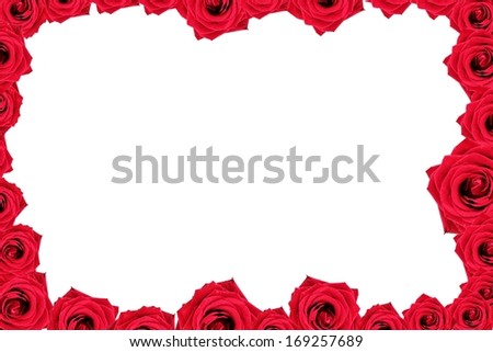 red roses frame isolated on white background