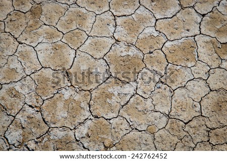 Mud Texture