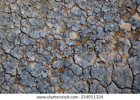 Mud Texture