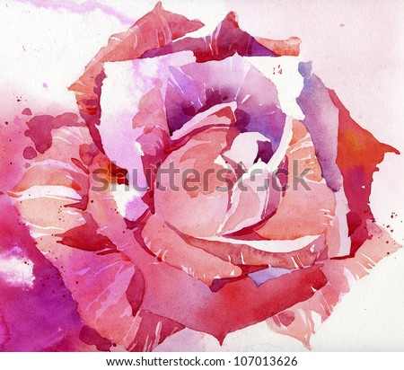 Watercolor rose illustration